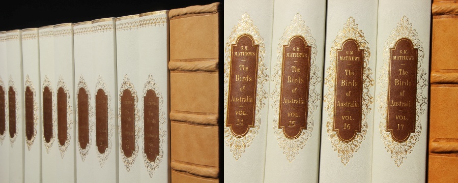 Replica Book Panels Vellum and Parchment Book Spines